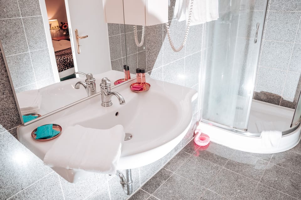 Single Room | Bathroom | Free toiletries, hair dryer, towels
