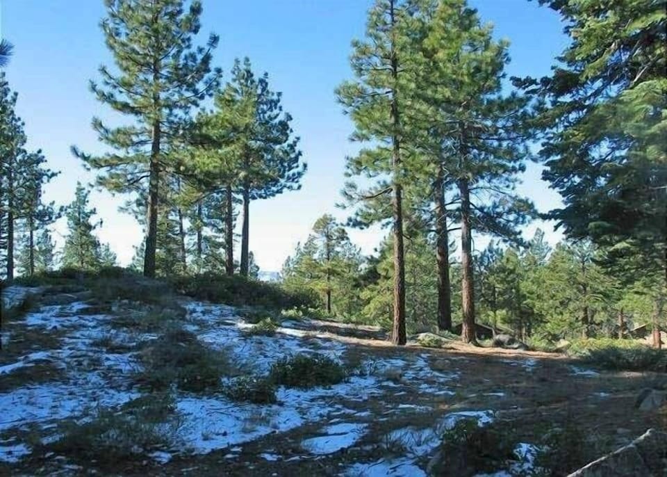 1173 Timber Lane 4 Bedroom Home House in South Lake Tahoe