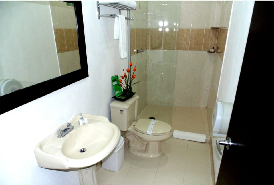 Standard Double Room, 1 King Bed | Bathroom | Shower, free toiletries, hair dryer (on request), towels