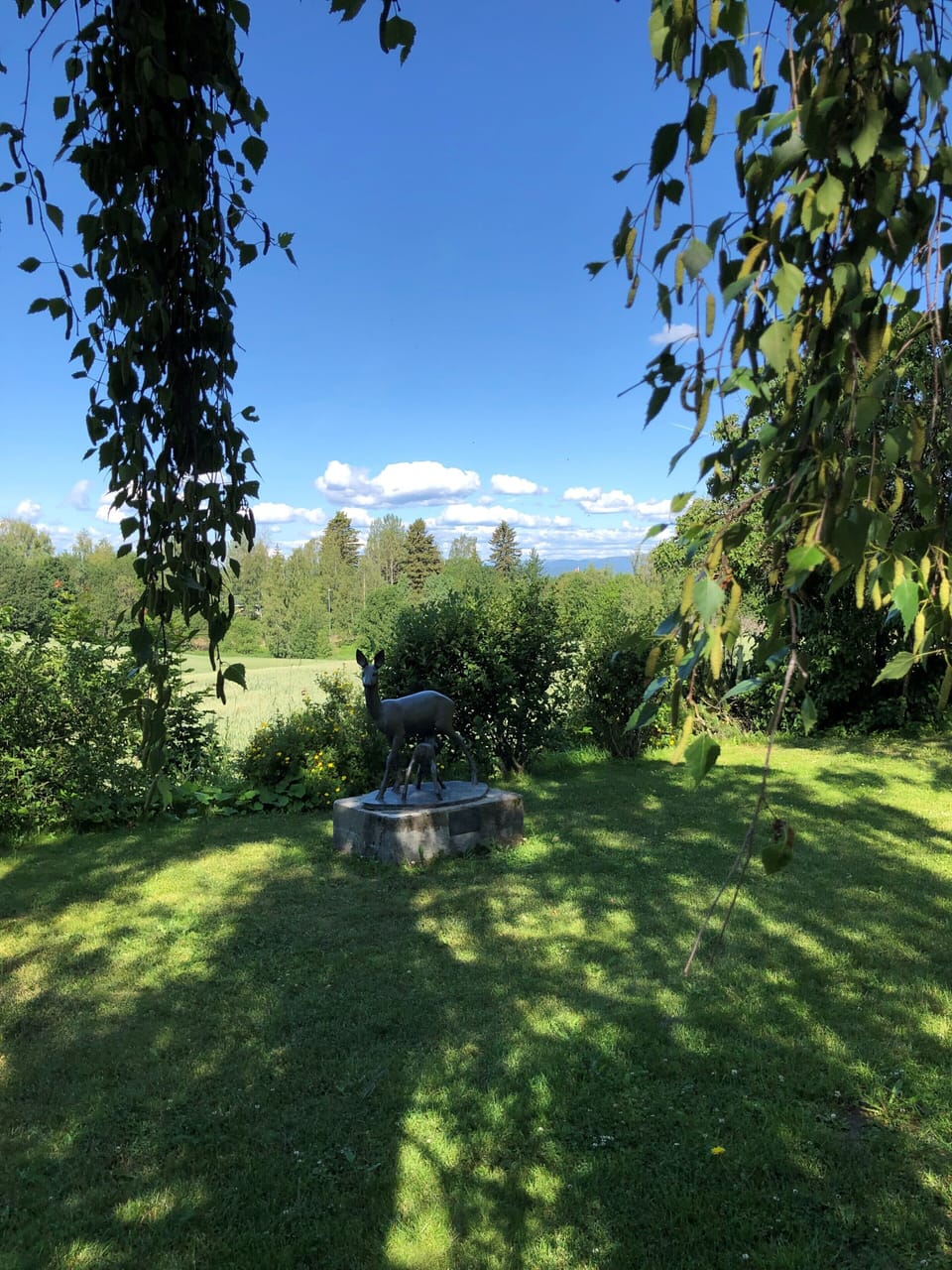 Family Room | View from room