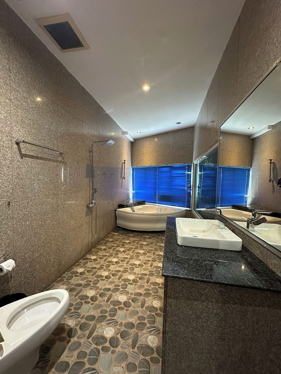 VIP Room | Bathroom | Free toiletries, bidet, towels, soap