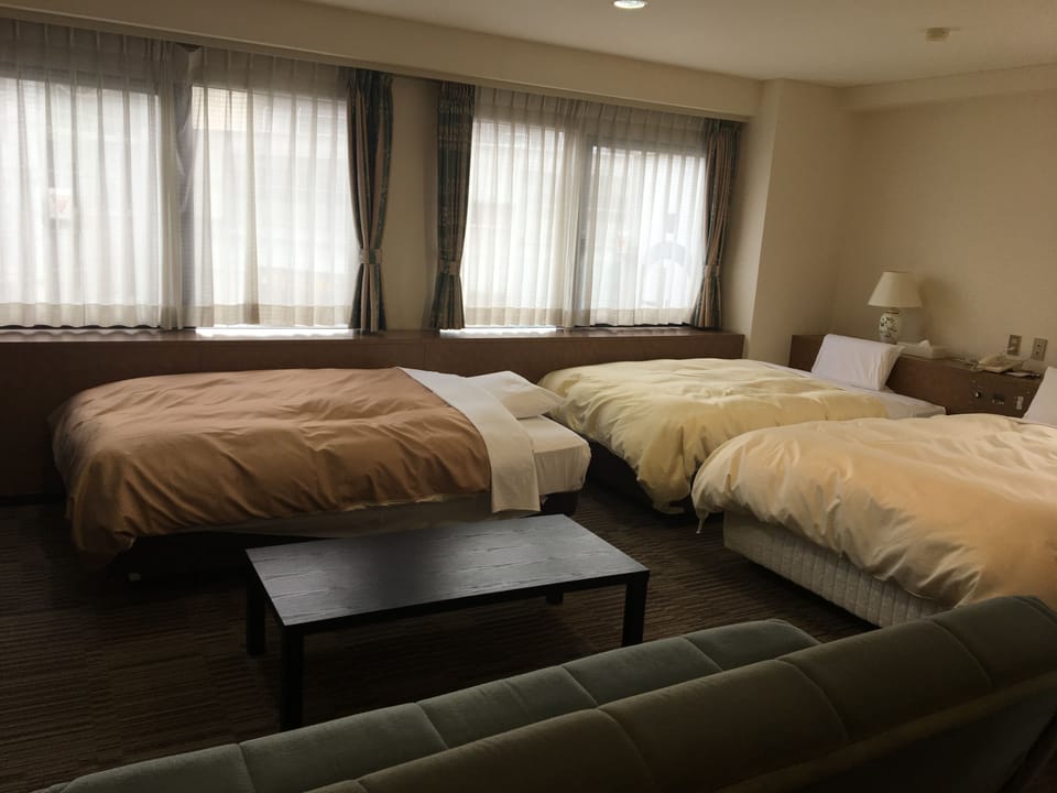 Desk, blackout drapes, iron/ironing board (on request), WiFi (free)