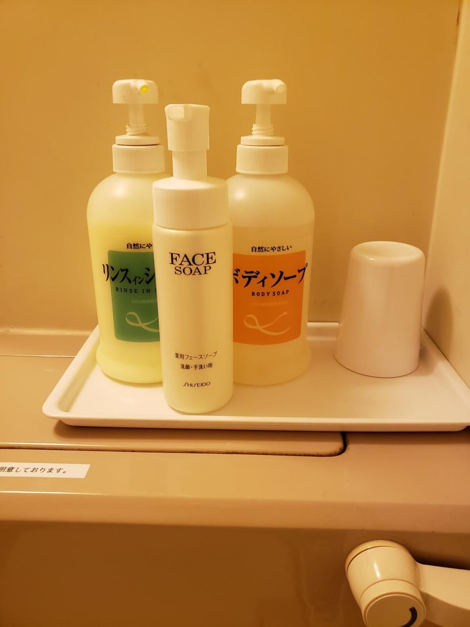 Combined shower/tub, deep soaking tub, free toiletries, hair dryer