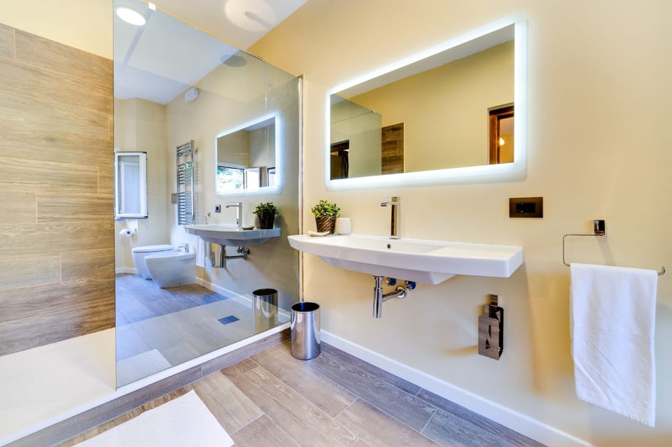 Shower, hair dryer, bidet, towels
