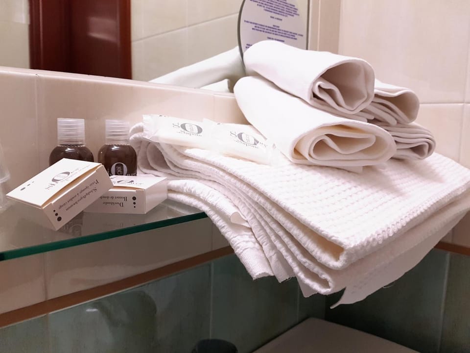 Shower, free toiletries, hair dryer, bidet