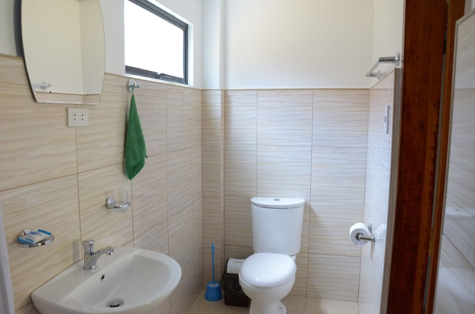 Standard Double Room | Bathroom | Shower, hair dryer, towels