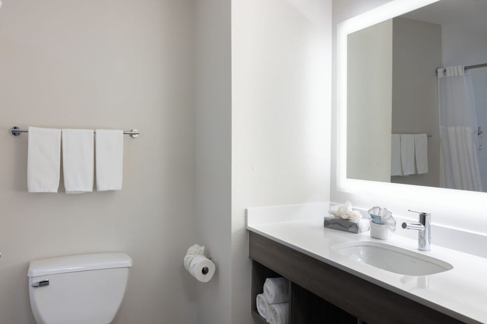 Combined shower/tub, free toiletries, hair dryer, towels