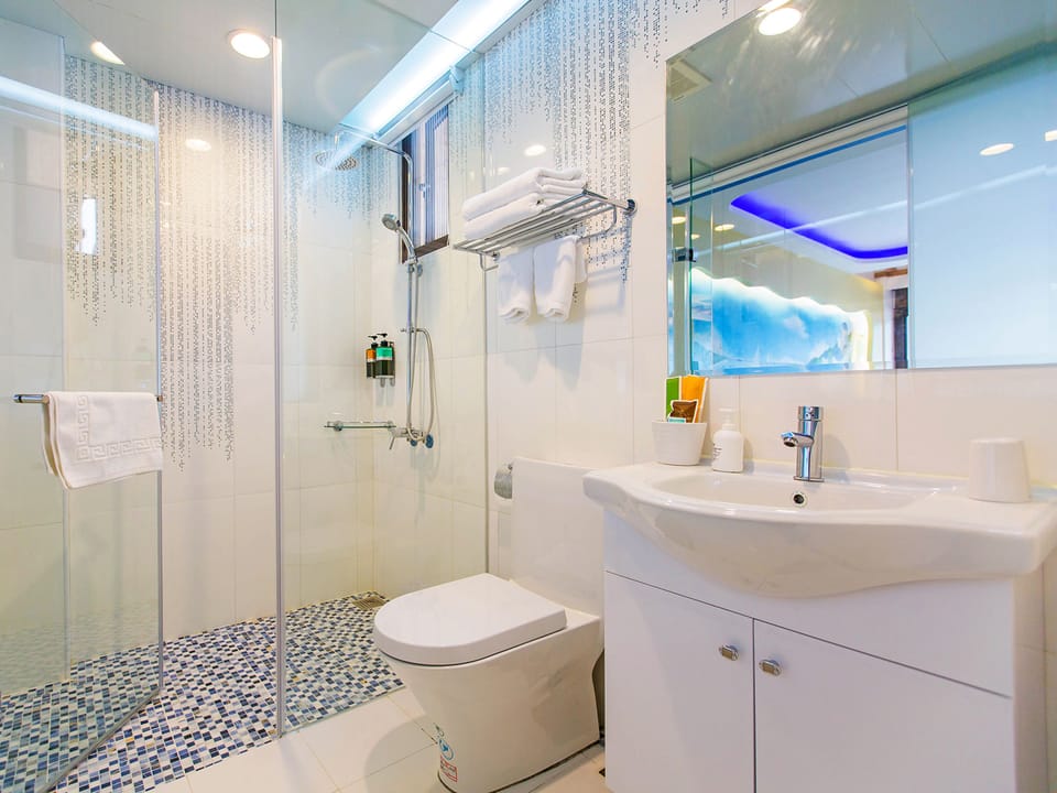 Deluxe Double Room, 1 Bedroom | Bathroom | Shower, hair dryer, slippers, towels