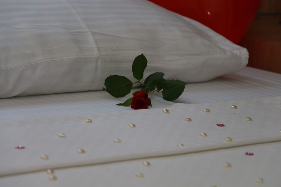 Standard Double or Twin Room, City View | Premium bedding, soundproofing, rollaway beds, free WiFi