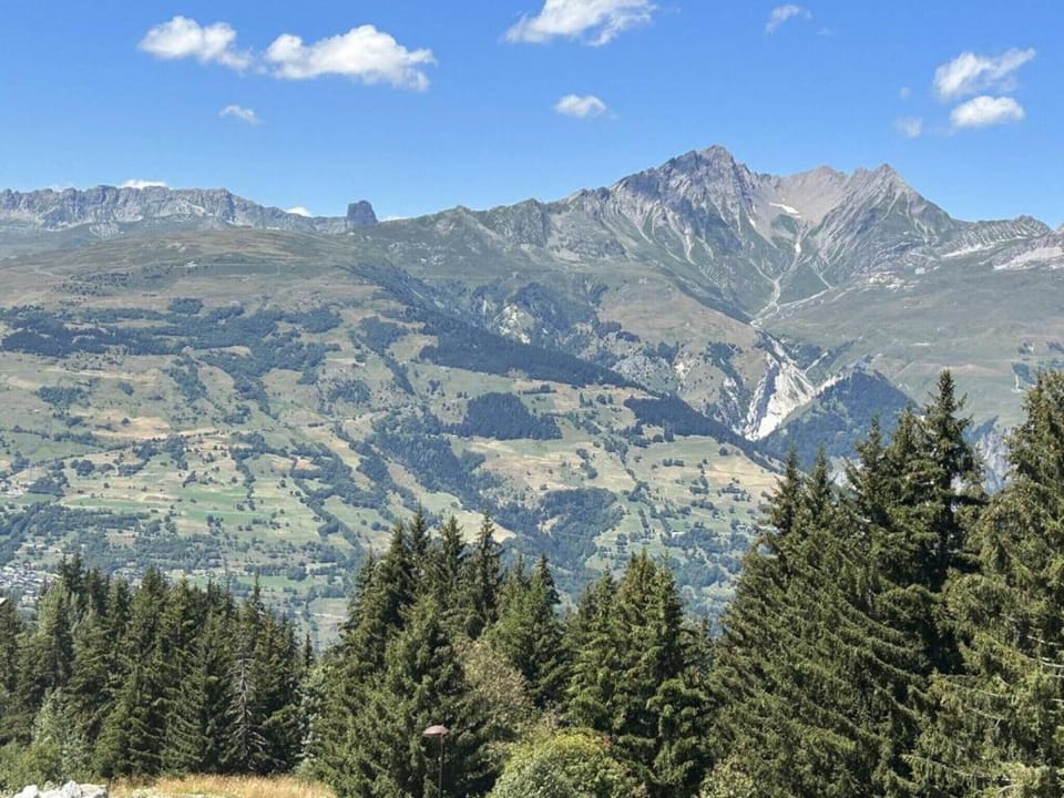 Region [summer] (>5 km)