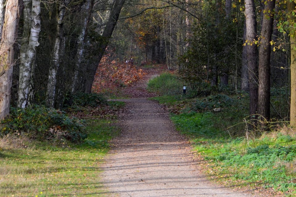 Surroundings [summer] (1-5 km)