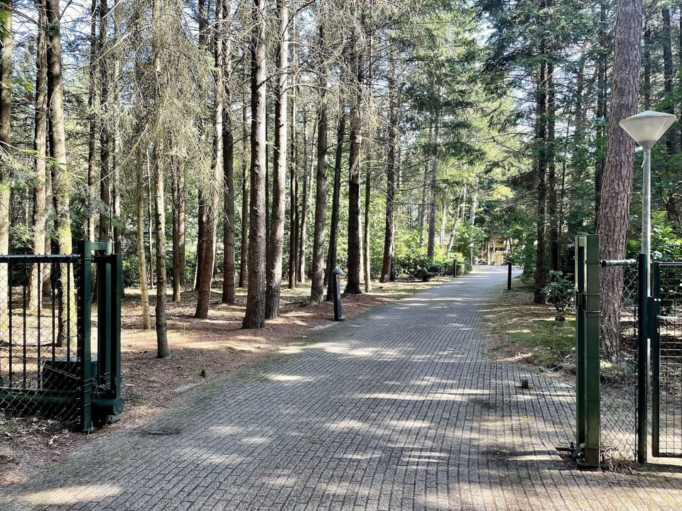 Entrance / Reception