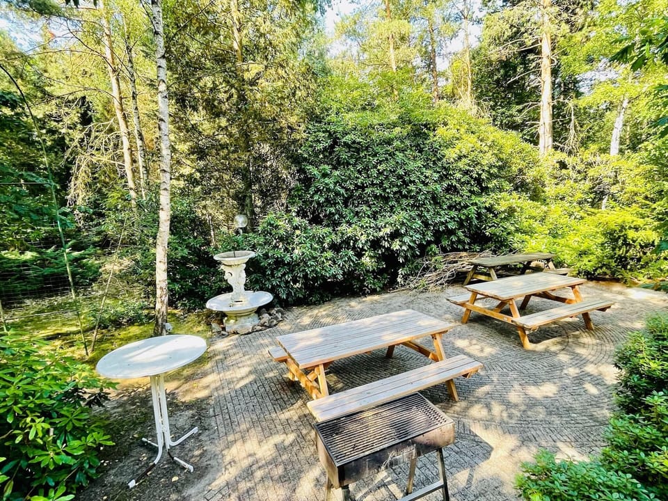 Garden [summer]