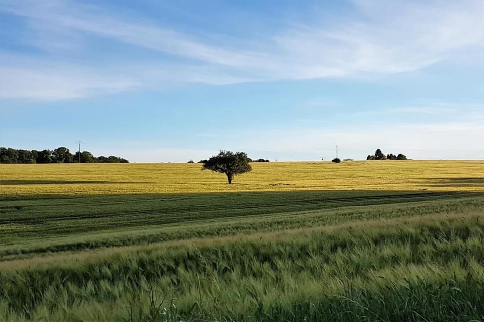 Surroundings [summer] (1-5 km)
