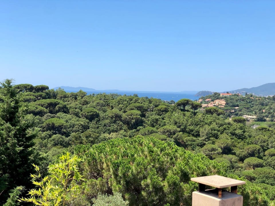 View from Holiday Home [summer]
