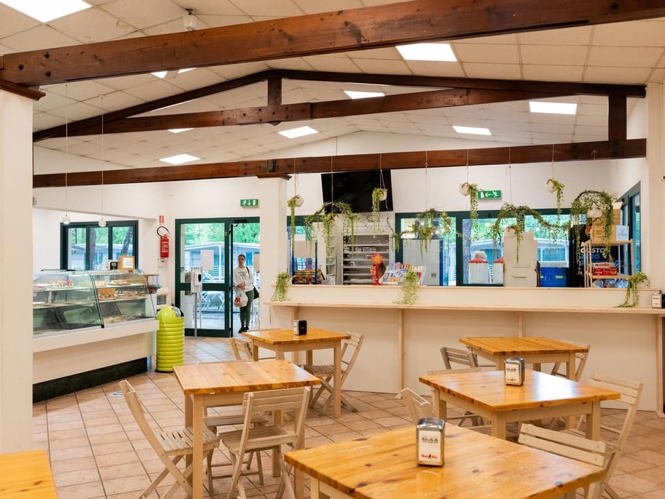 Holiday Park Facilities and Services 