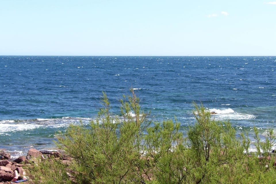 Immediate Surroundings [summer] (<1 km)