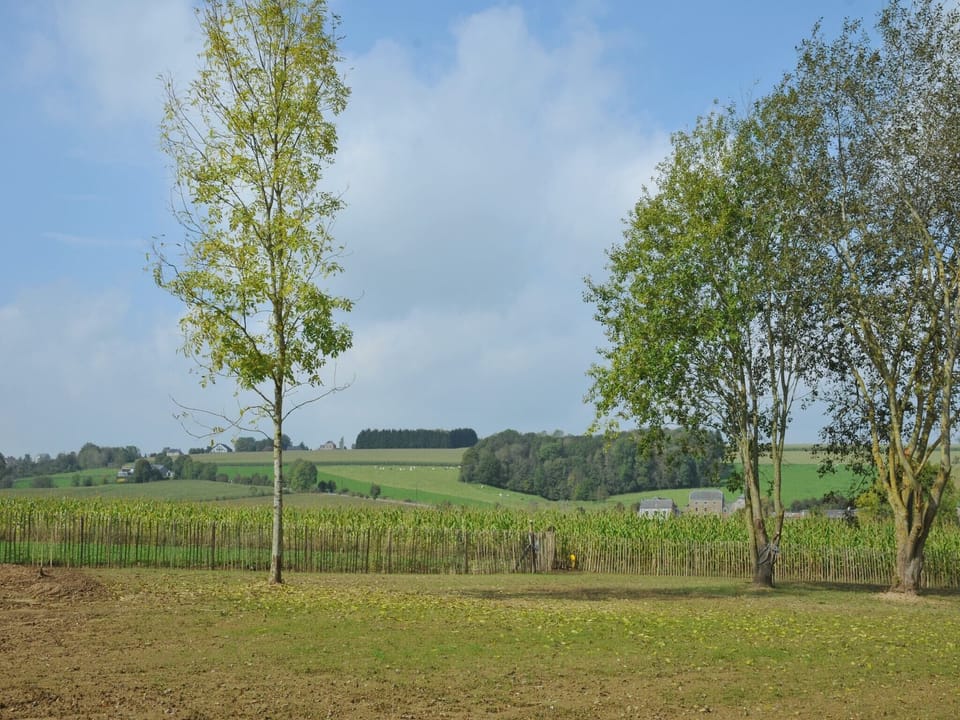 View from Holiday Home [summer]