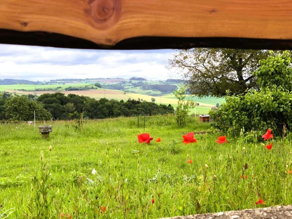 Surroundings [summer] (1-5 km)