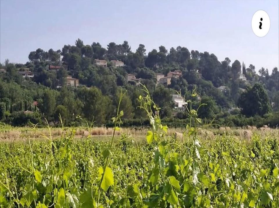 Immediate Surroundings [summer] (<1 km)