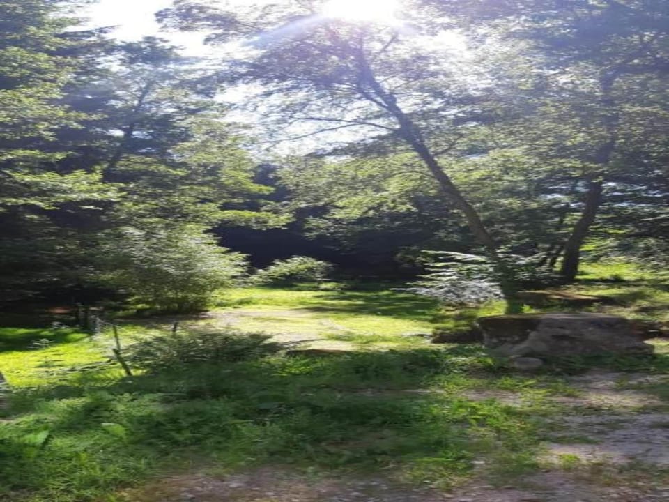 Region [summer] (>5 km)