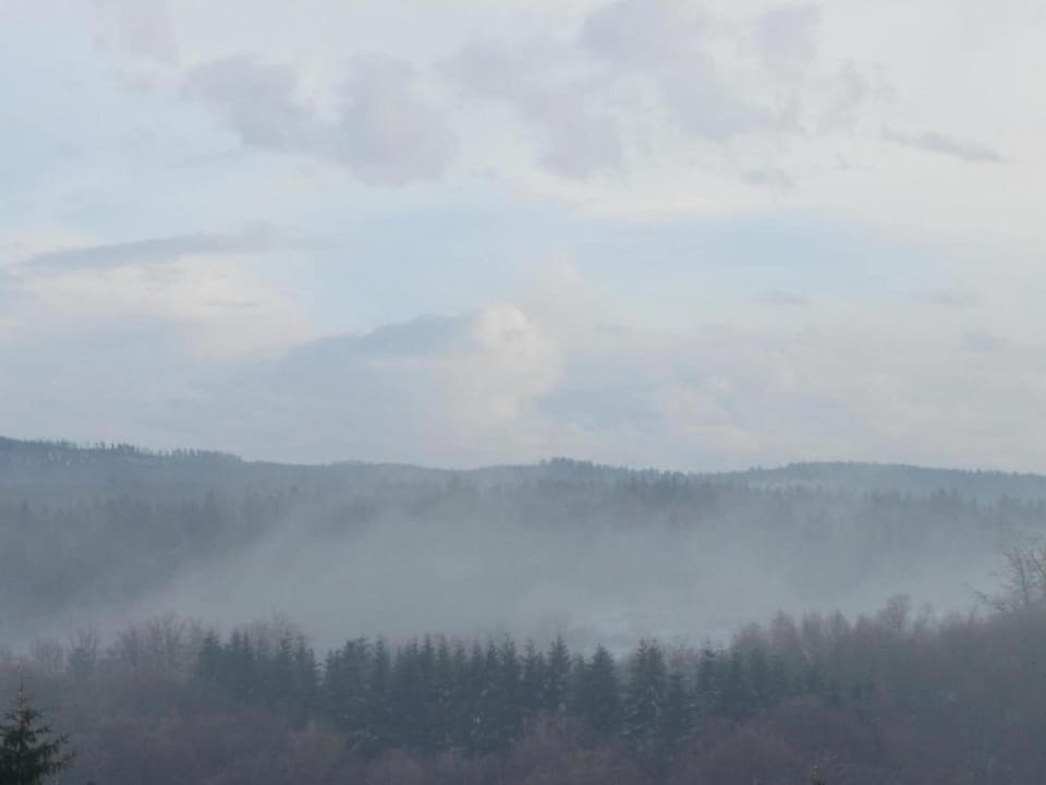 Region [winter] (>5 km)