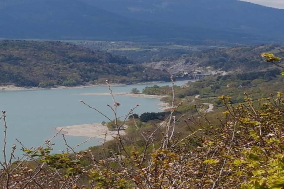 Region [summer] (>5 km)