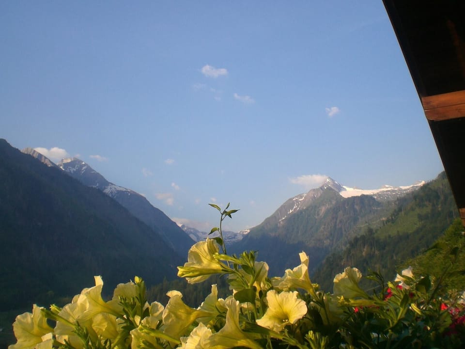 View from Holiday Home [summer]