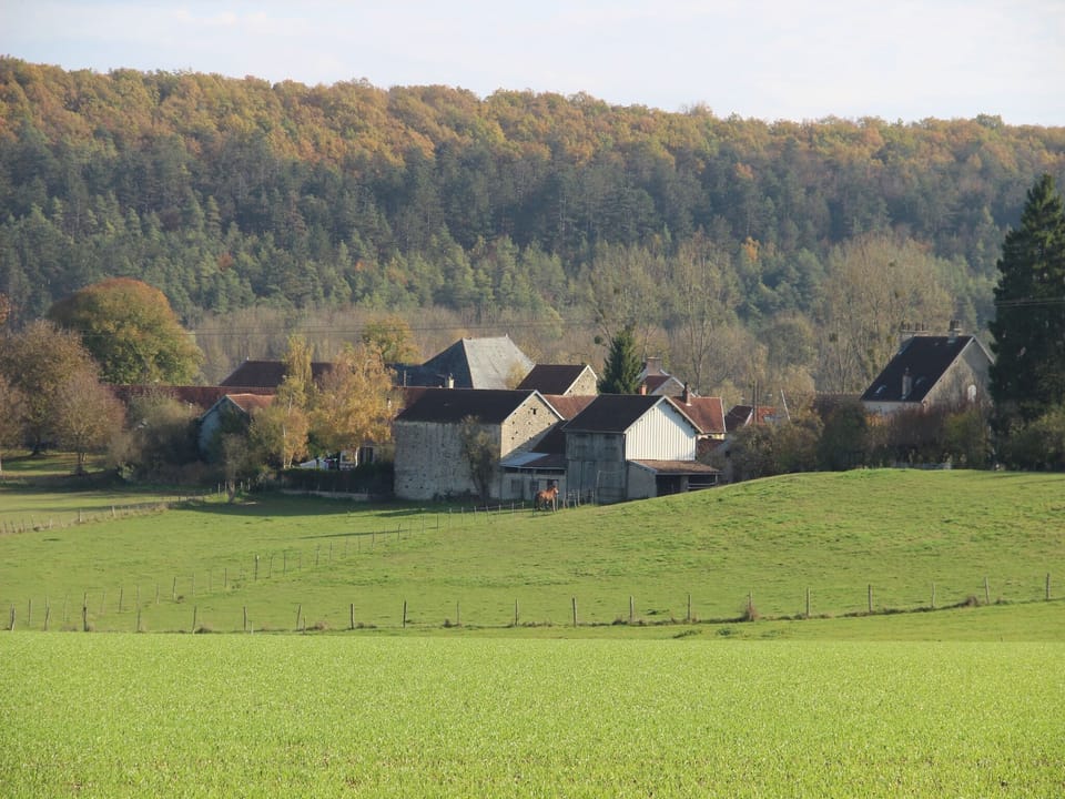 Immediate Surroundings [summer] (<1 km)