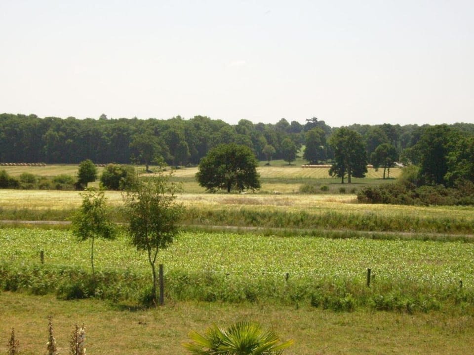 Region [summer] (>5 km)