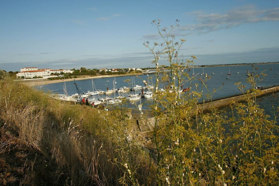 Holiday Park Facilities and Services 