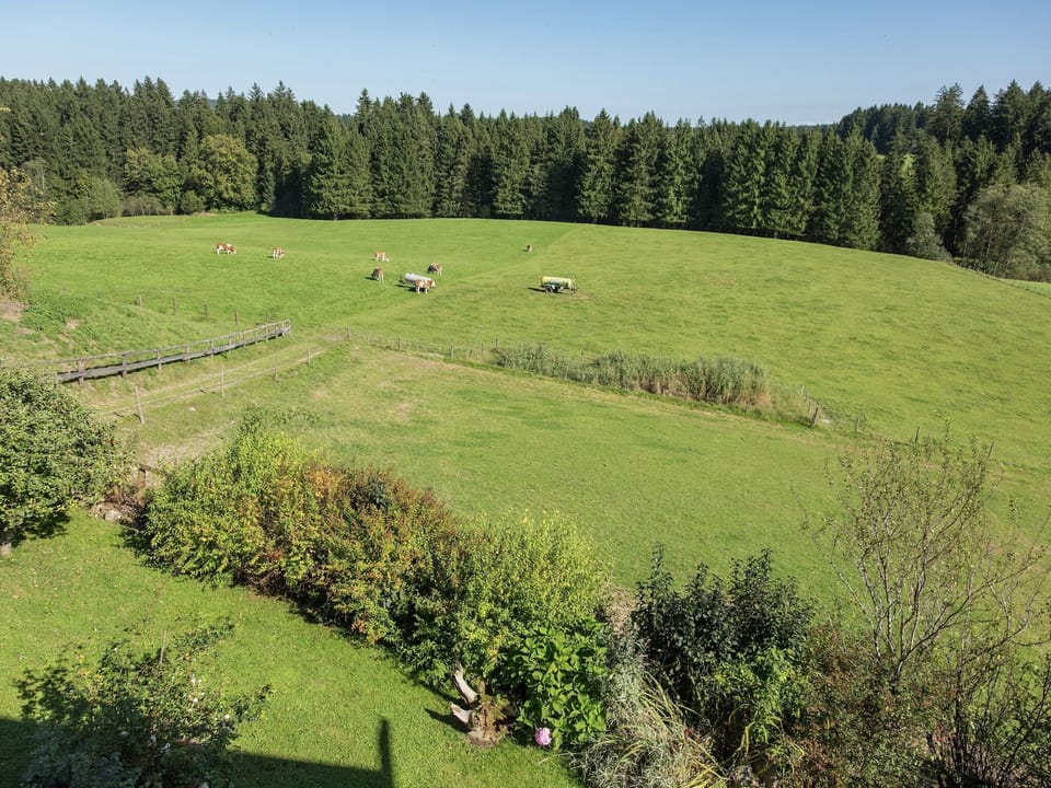 View from Holiday Home [summer]