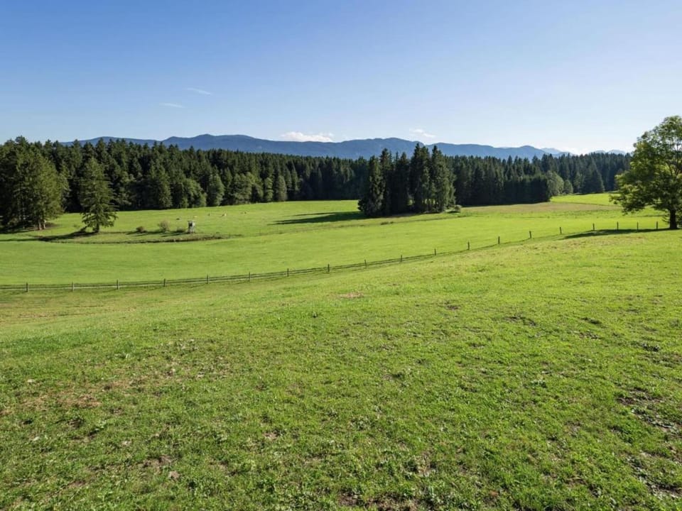 Region [summer] (>5 km)