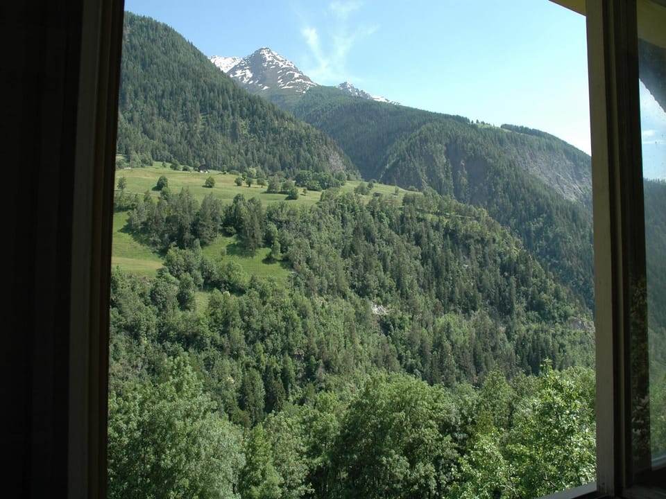 View from Holiday Home [summer]