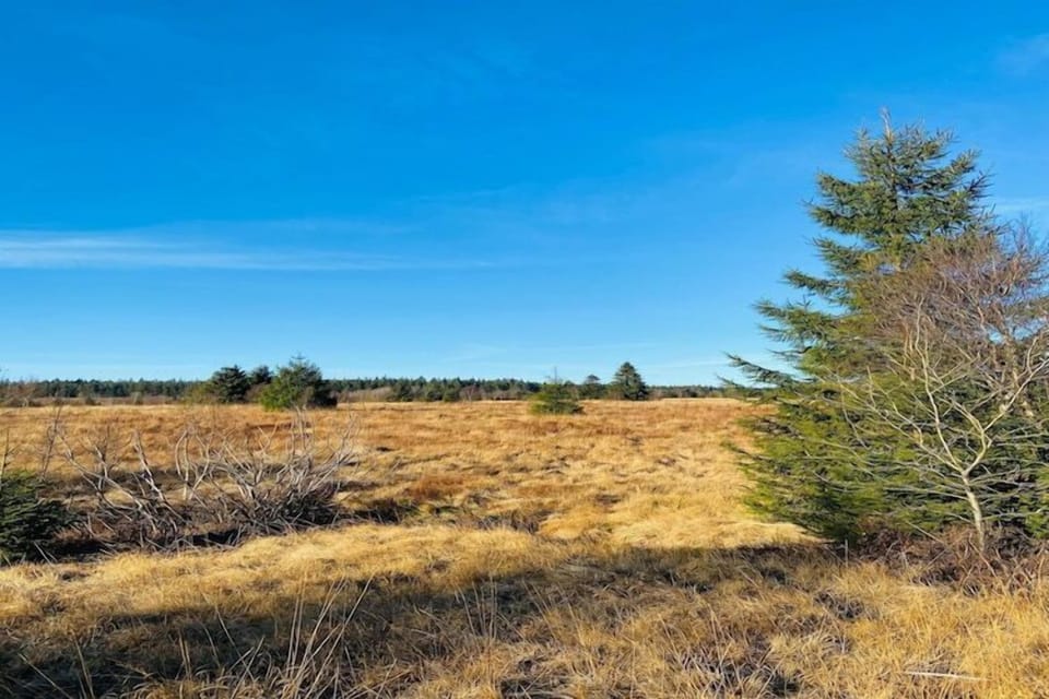 Surroundings [summer] (1-5 km)