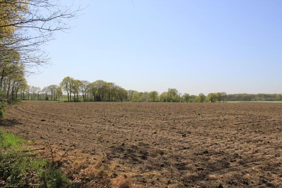 Surroundings [summer] (1-5 km)