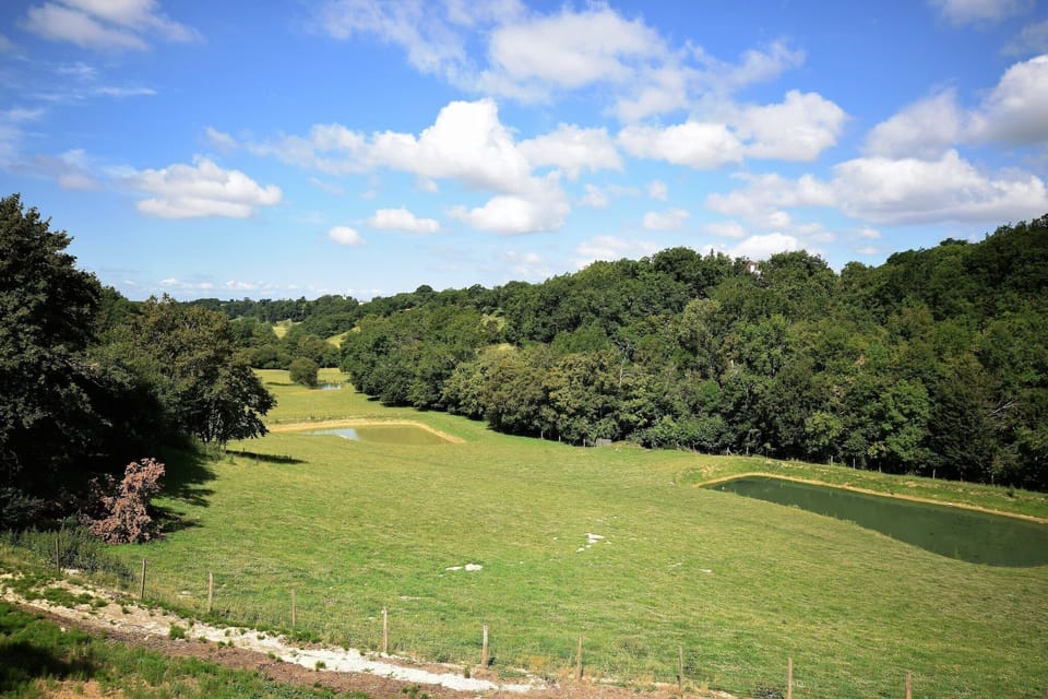 View from Holiday Home [summer]