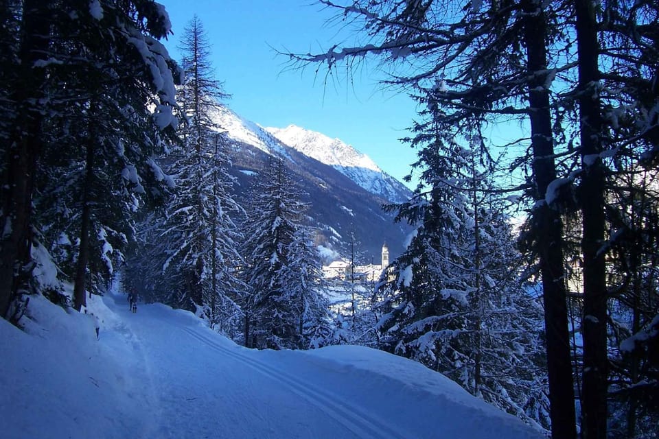 Region [winter] (>5 km)