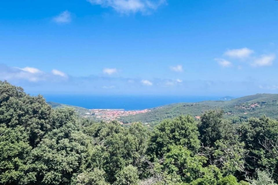 Surroundings [summer] (1-5 km)