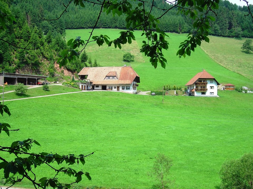 Holiday Home Exterior [summer]