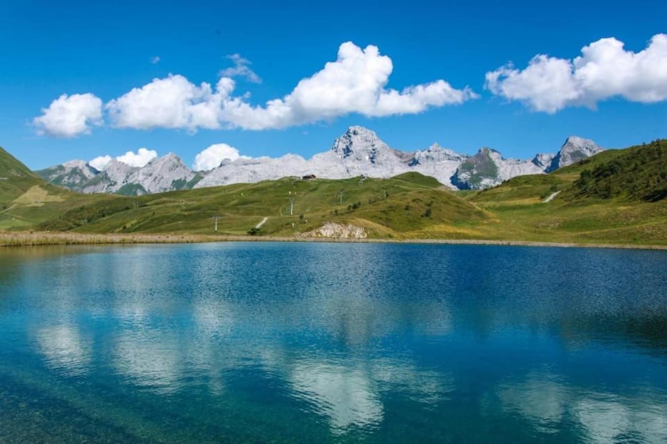 Region [summer] (>5 km)