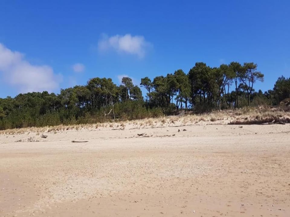 Region [summer] (>5 km)