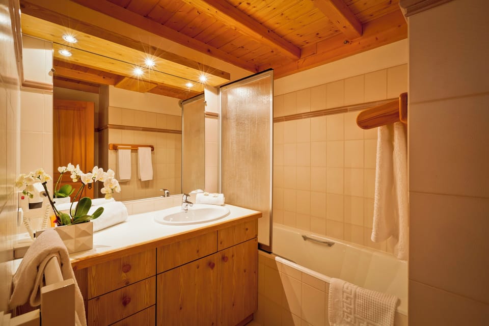 Deluxe Suite | Bathroom | Hair dryer, towels, soap, shampoo