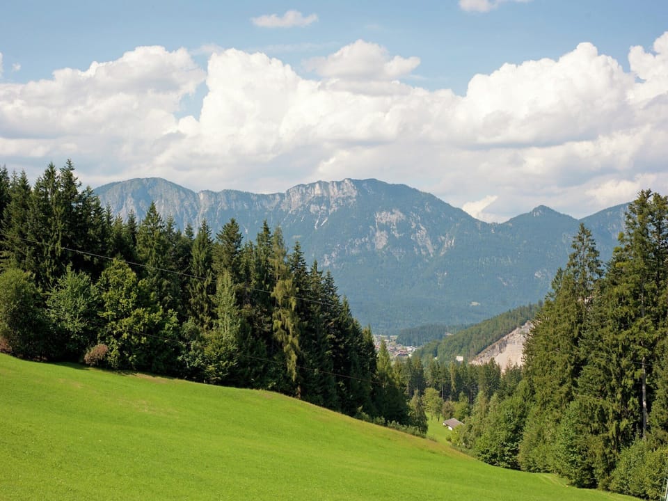 Immediate Surroundings [summer] (<1 km)