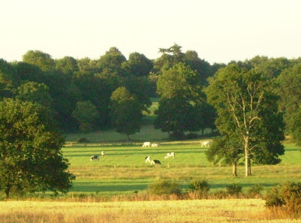 Region [summer] (>5 km)