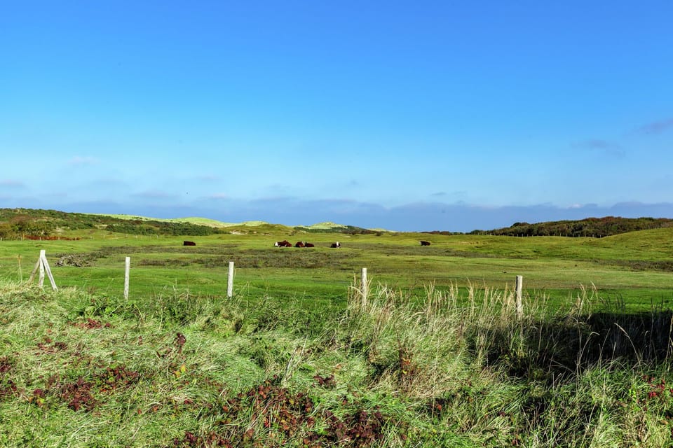 Immediate Surroundings [summer] (<1 km)