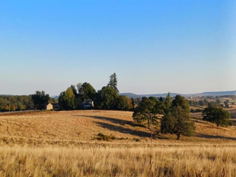 Region [summer] (>5 km)