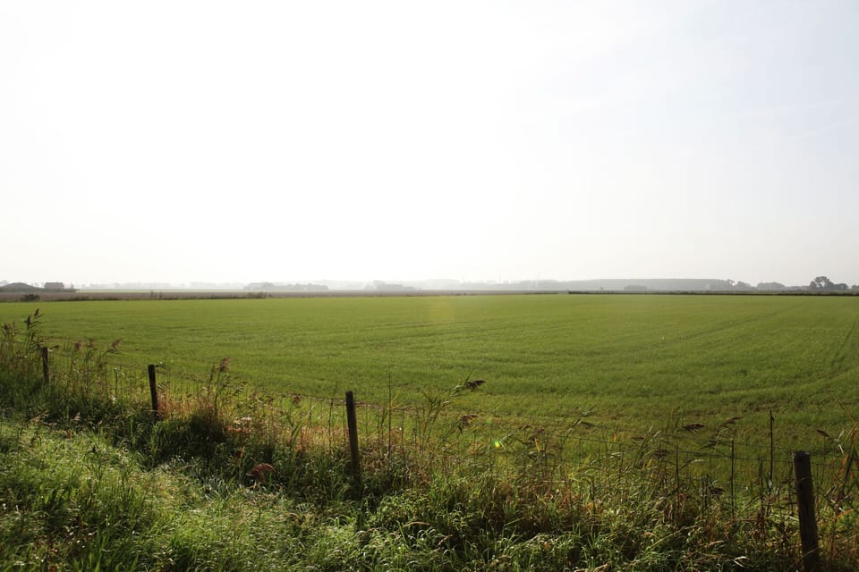 View from Holiday Home [summer]