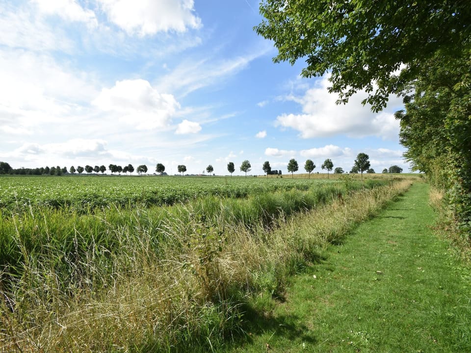 View from Holiday Home [summer]