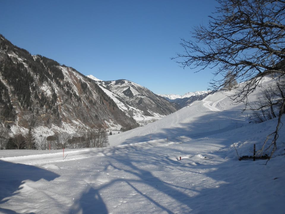 View from Holiday Home [winter]